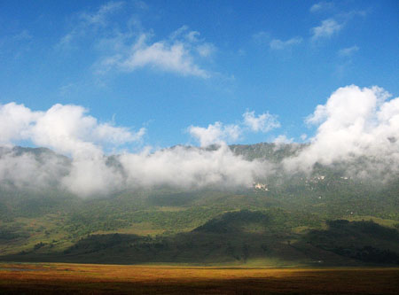 20081006_0771df41f17cfeeaac49un7momruxes2.jpg