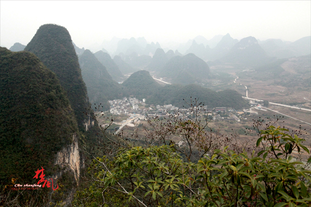 Ƭ 549-1.jpg