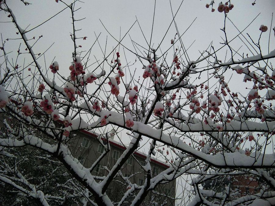 neo_img_dvc00044.jpg