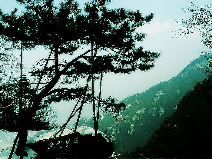 2011117139488876.jpg