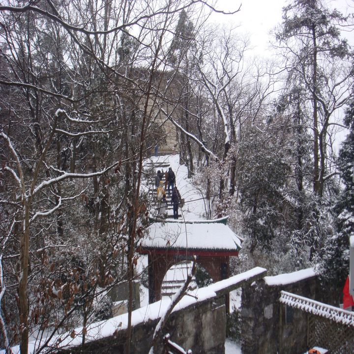 dsc03441.jpg