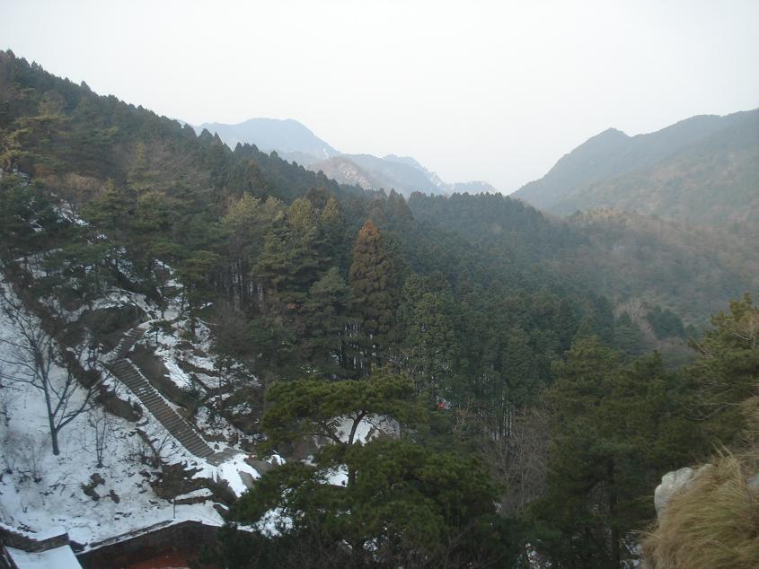 dsc04920.jpg