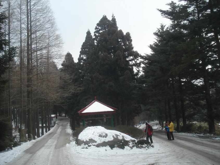 dsc04970.jpg