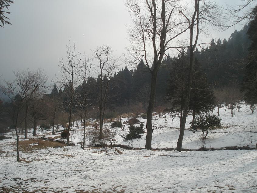 dsc04972.jpg
