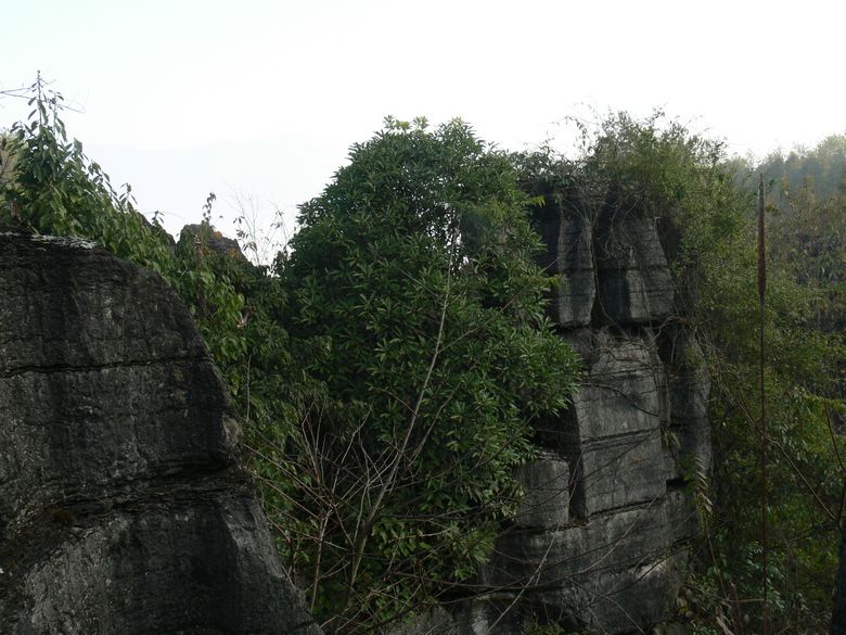 p1130339.jpg