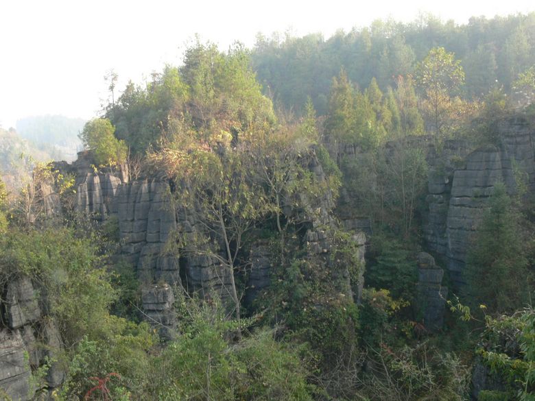 p1130342.jpg