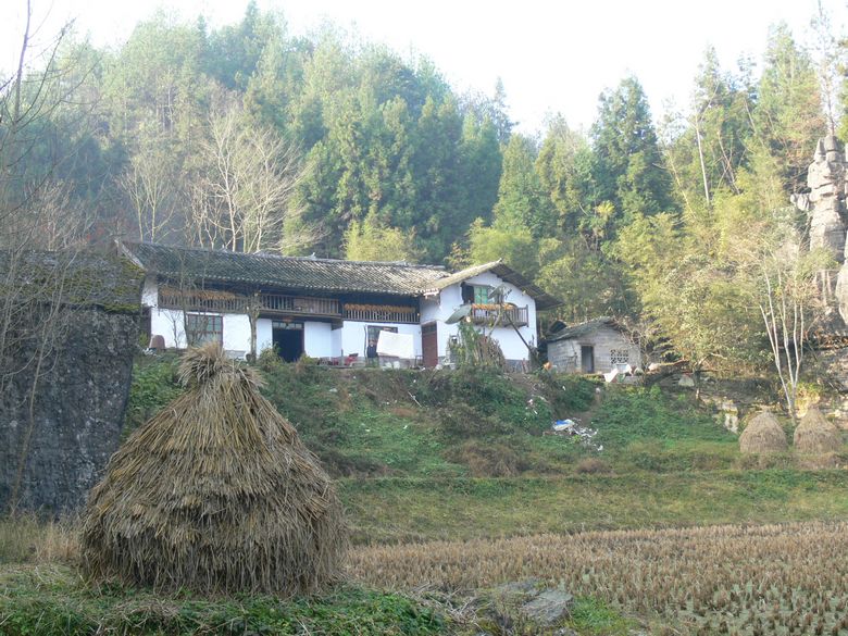 p1130366.jpg