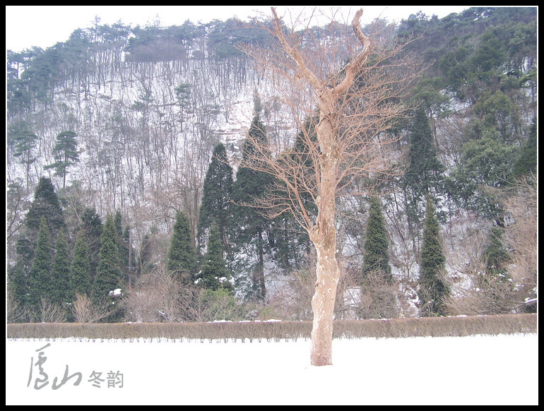 20110109ѩ®ɽcֲ԰ (19).jpg