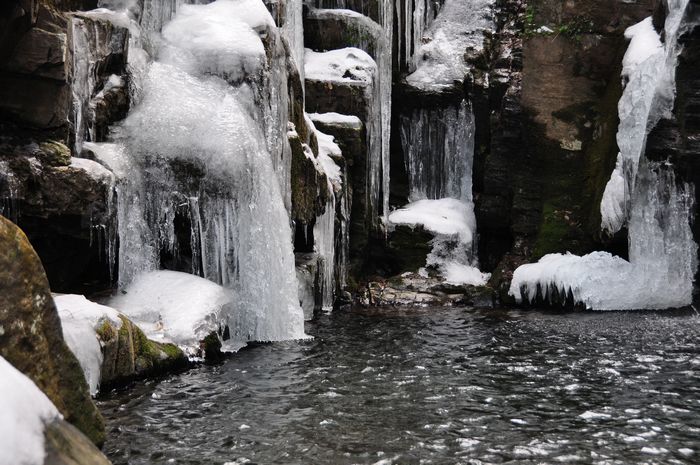 dsc_0427.jpg