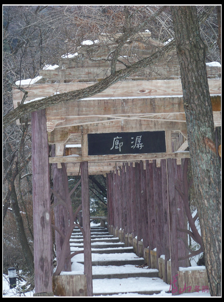 20110109ѩ®ɽcֲ԰ (30).jpg