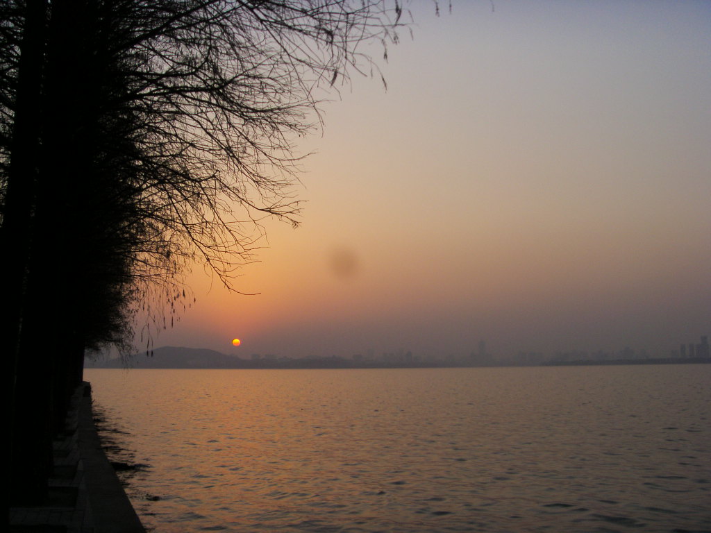 s73f1184.jpg