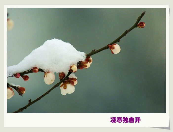 dsc02597=.jpg