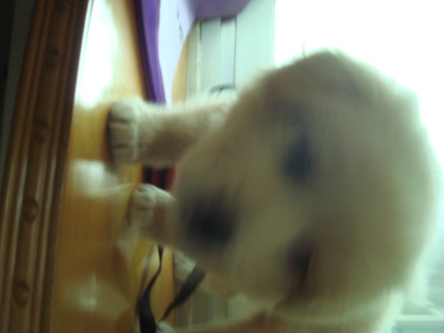 dsc00505.jpg