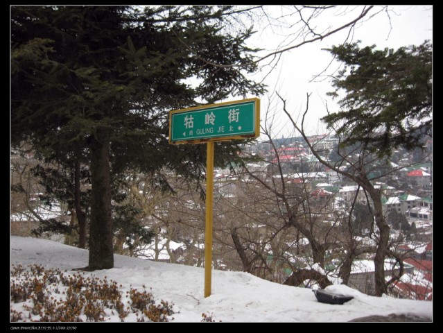 100_0082 .jpg