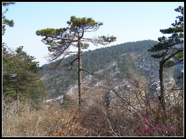 20110109ѩ®ɽhϷ-ķ (37).jpg