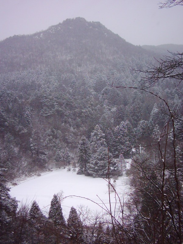 dsci0049.jpg