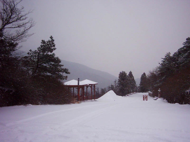 dsci0073.jpg