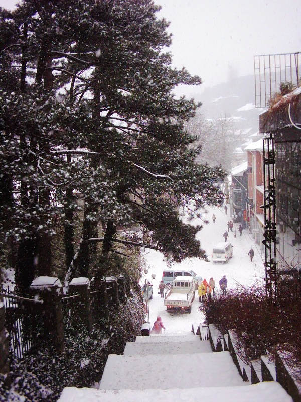 dsci0007.jpg