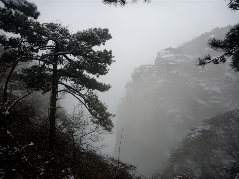 p1040413_.jpg