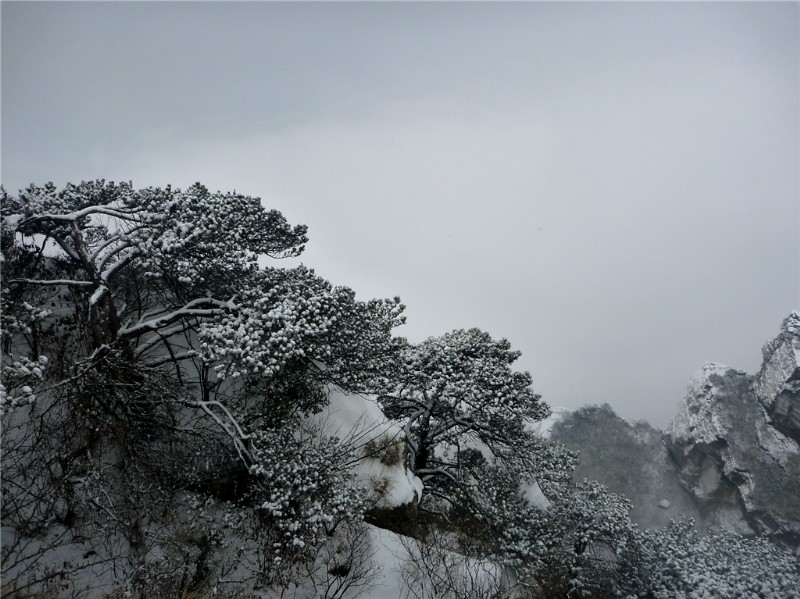 p1040403_.jpg