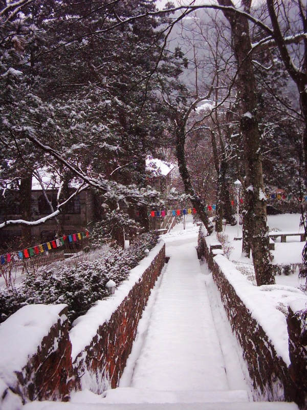 dsci0011.jpg