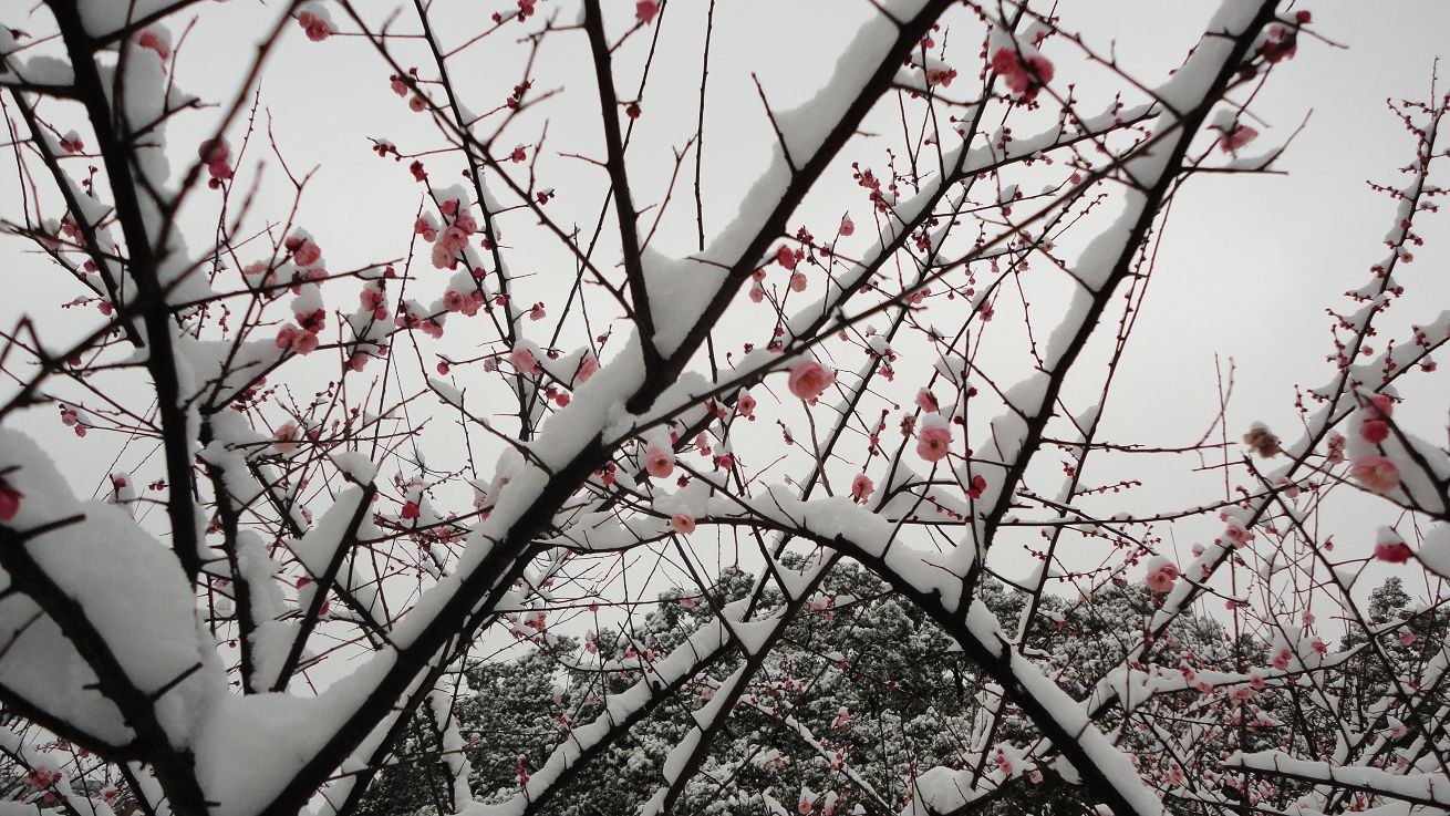 neo_img_dsc01798.jpg