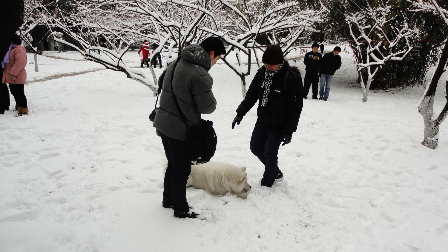 neo_img_dsc01795.jpg
