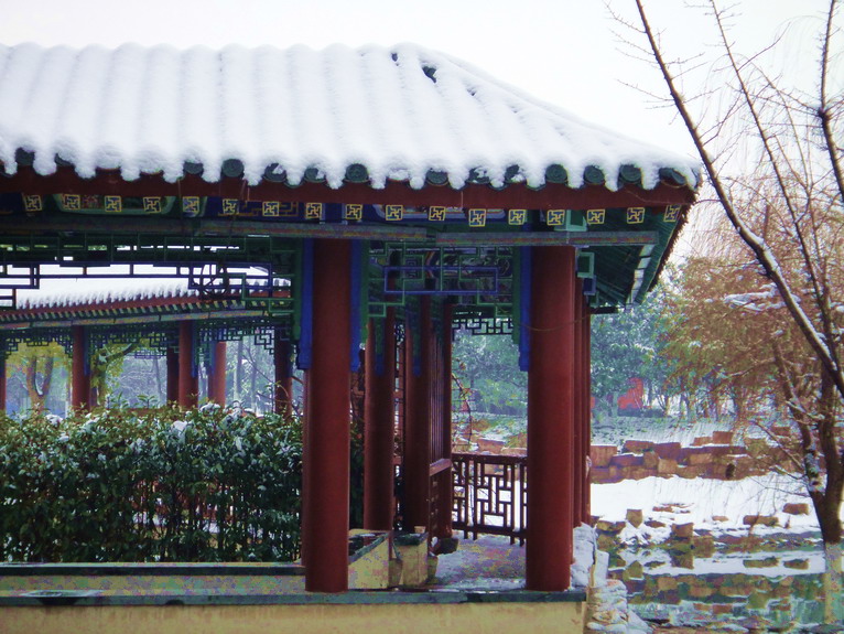 sc01294.jpg
