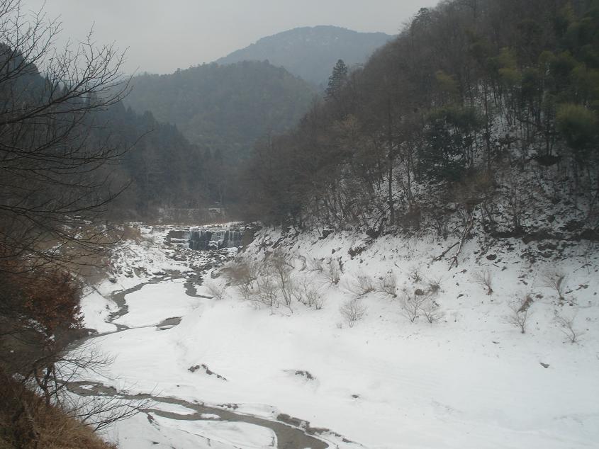 dsc05027.jpg