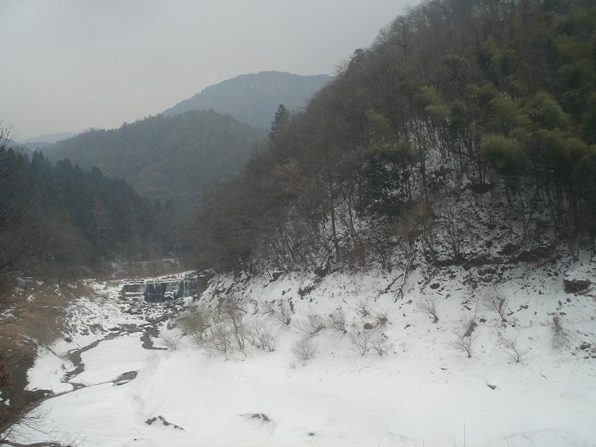 dsc05031.jpg