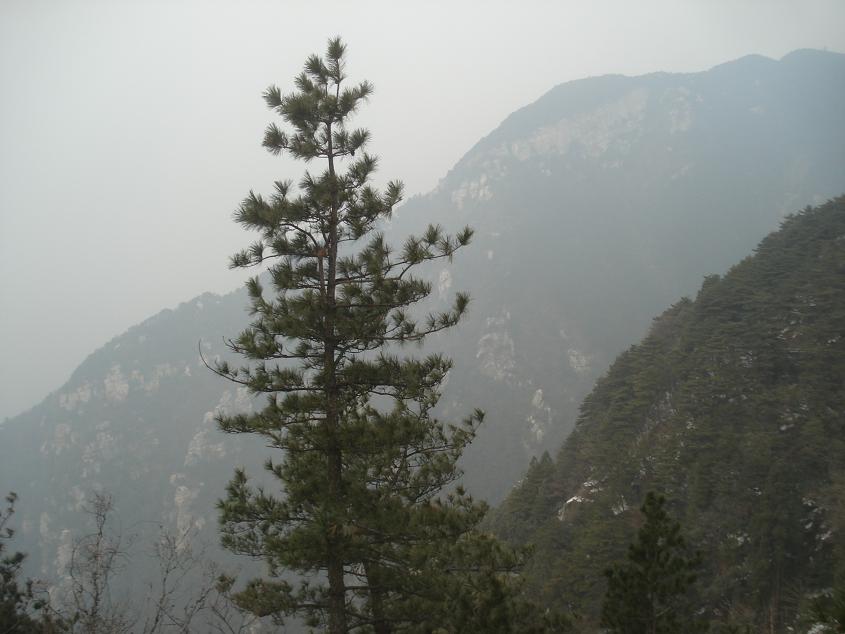 dsc05063.jpg