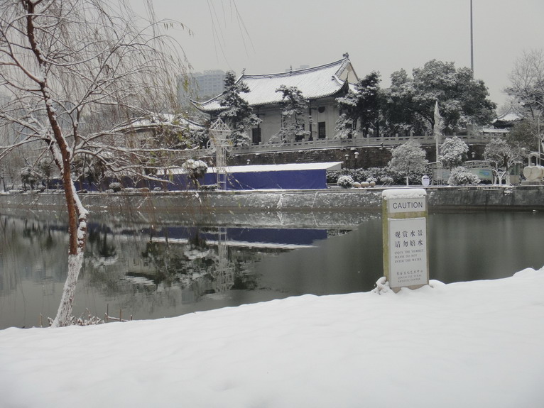 dsc01192.jpg