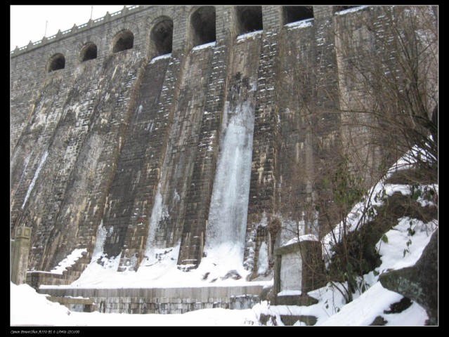100_0310 .jpg