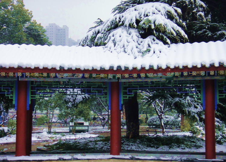 dsc01302.jpg