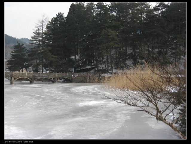 100_0208 .jpg