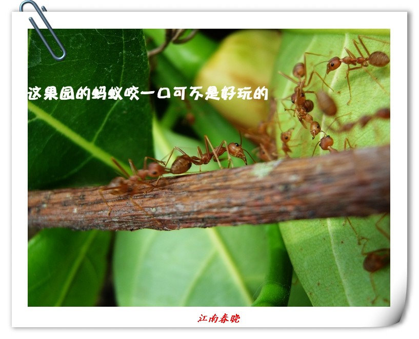neo_img_dscn5948_.jpg