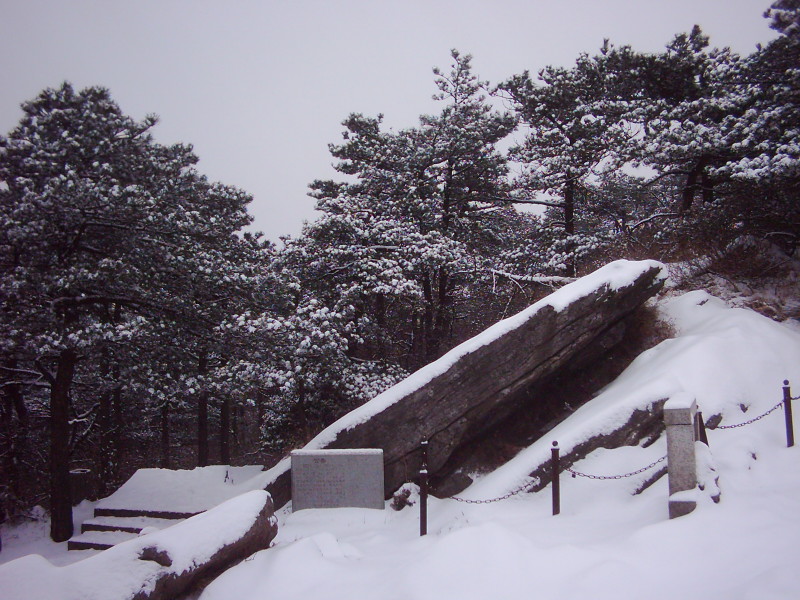 dsci0100.jpg