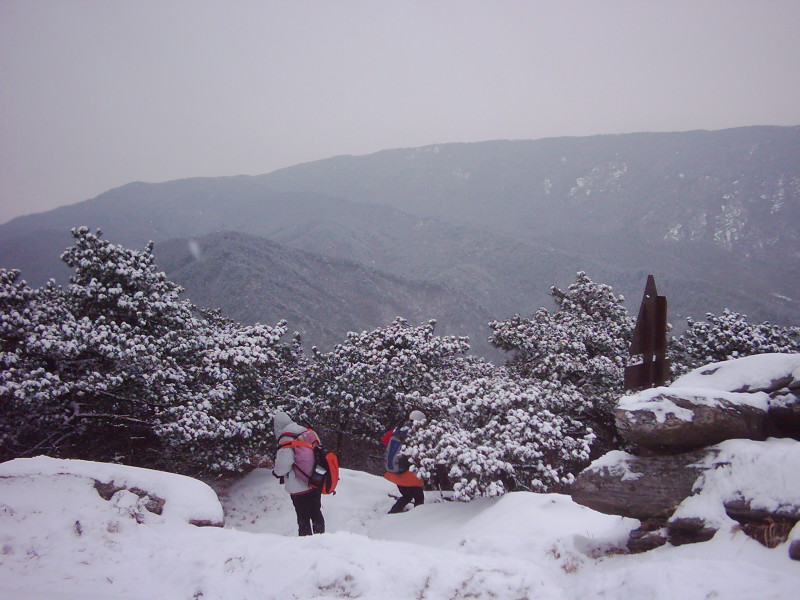 dsci0109.jpg