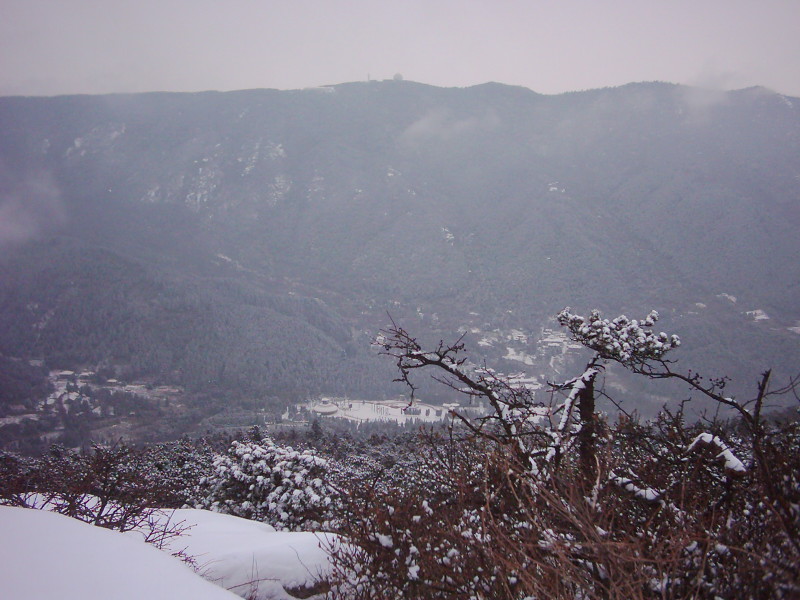 dsci0154.jpg