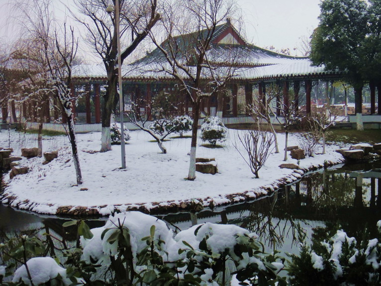dsc01292.jpg