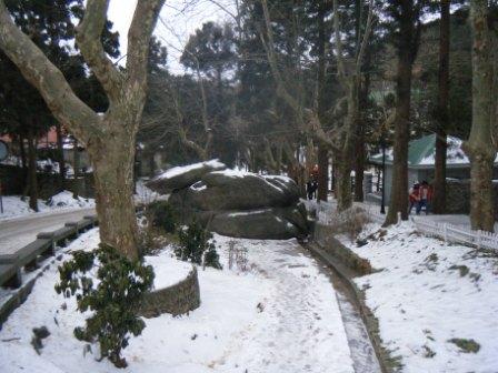 60.jpg