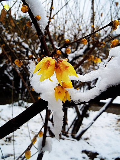 dscn2891--.jpg