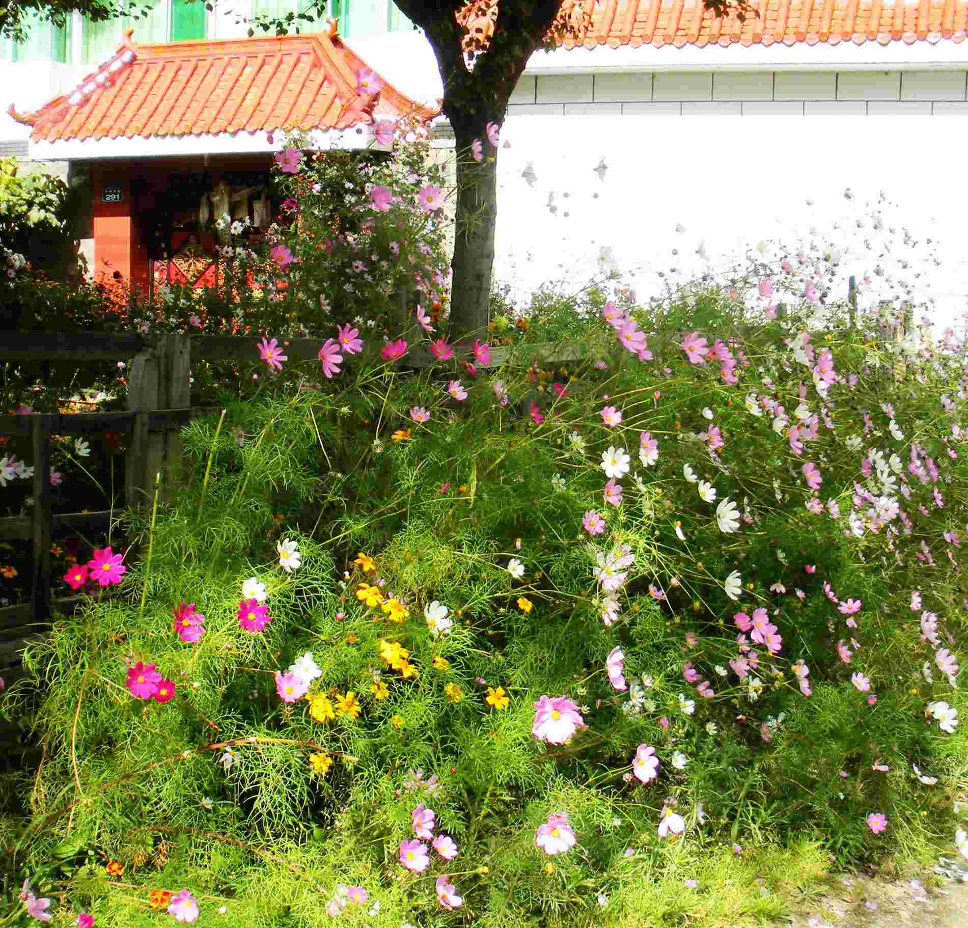 dscn1418.jpg