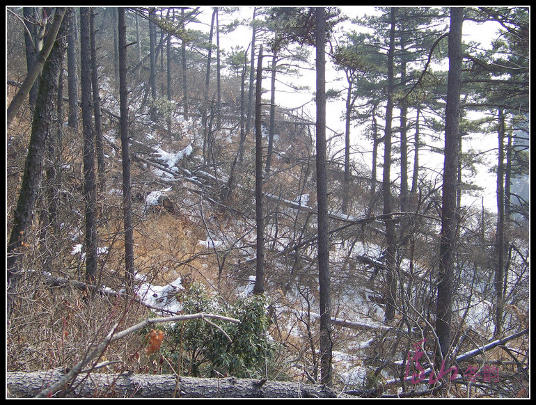 20110109ѩ®ɽhϷ-ķ (54).jpg