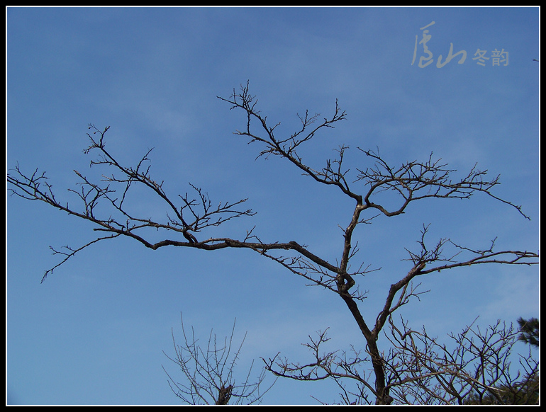 20110109ѩ®ɽhϷ-ķ (56).jpg