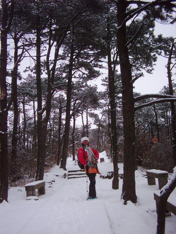 dsci0119.jpg