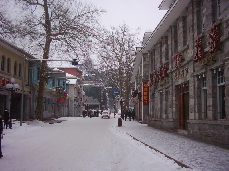 dsci0206.jpg