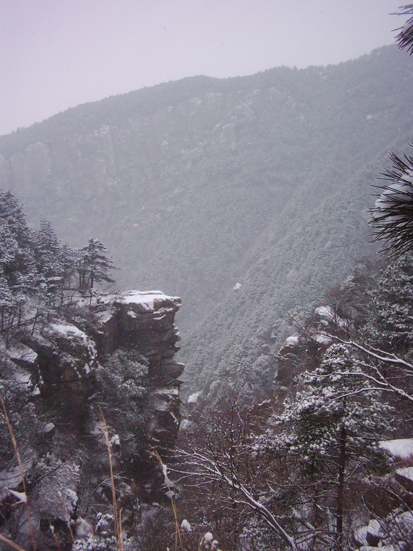 dsci0219.jpg
