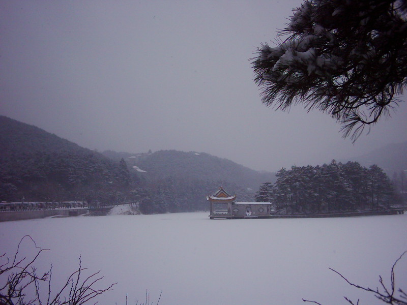 dsci0223.jpg