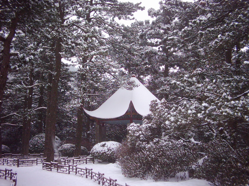 dsci0222.jpg